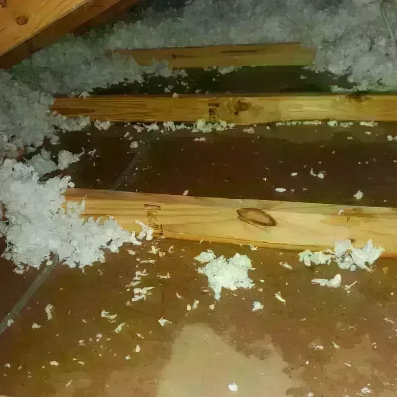 Attic Water Damage in Kensington, CA