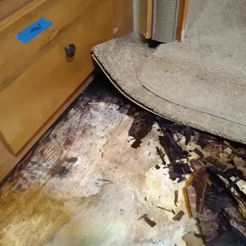 Wood Floor Water Damage in Kensington, CA